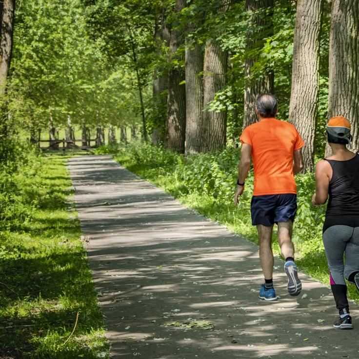 Clean and organized gym locker room facilities